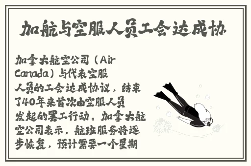 八重子的肚子里面装满了精华
